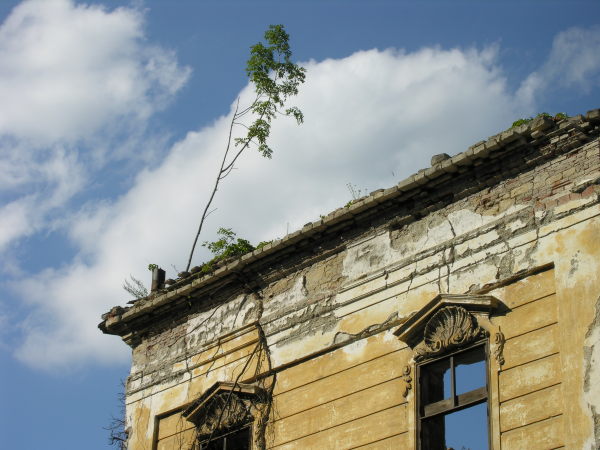 schloss_pottendorf_001